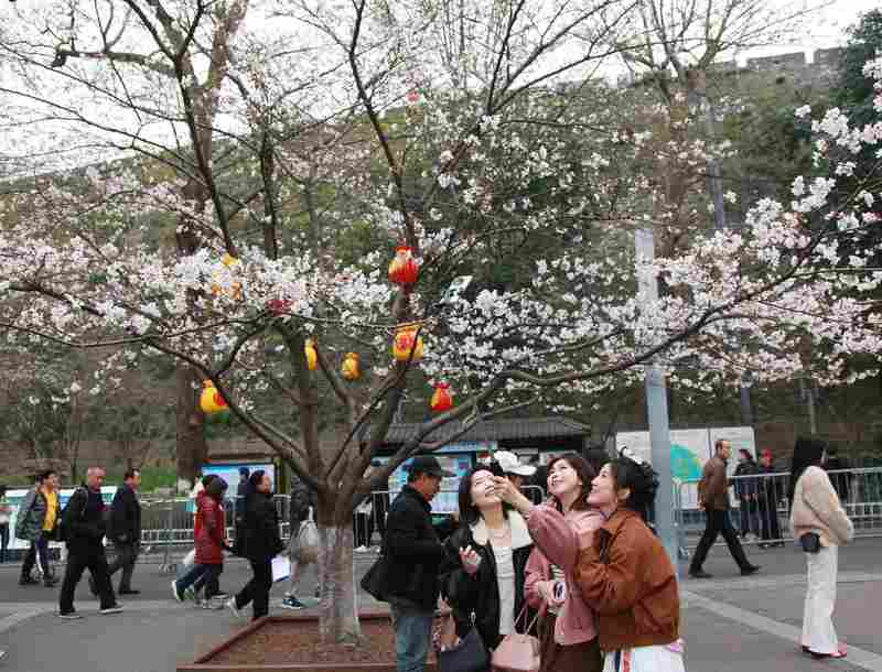  从观赏到参与，春季文旅迎来深度变革；情绪价值驱动下，游客停留时间明显延长。 文化旅游