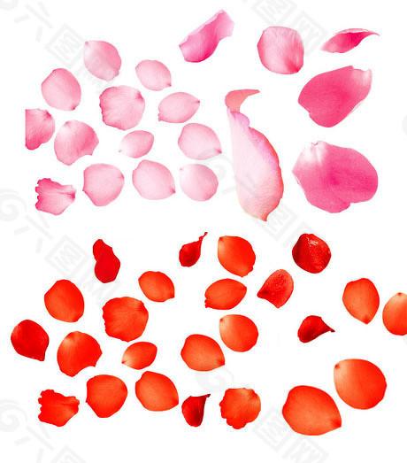  机器人IPO蓝皮书：行业估值逻辑与上市路径全解析 股票财经