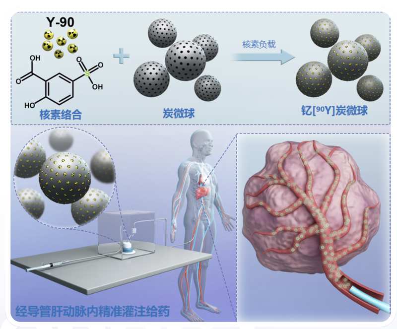 【技术深挖】核药赛道融资新纪录背后:纽瑞特如何用十年构建医用同位素护城河 新闻