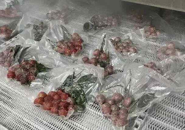  荔枝小年深度解析：气候周期与市场波动的技术复盘 股票财经