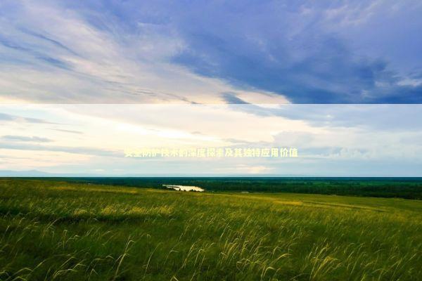 安全防护技术的深度探索及其独特应用价值 新闻