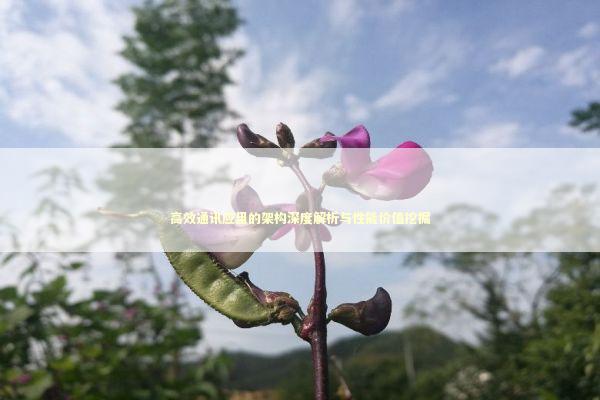 高效通讯应用的架构深度解析与性能价值挖掘 高效通讯应用的架构深度解析与性能价值挖掘 新闻