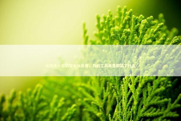 从技术小白到安全从业者，我的工具箱里都装了什么 IT技术