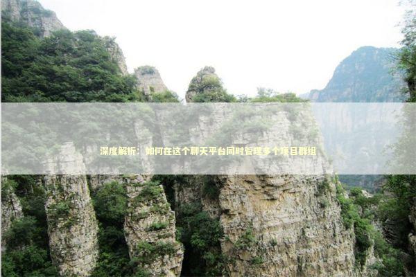 深度解析：如何在这个聊天平台同时管理多个项目群组