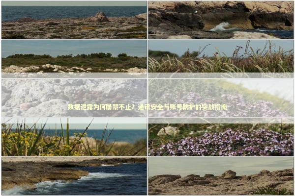 数据泄露为何屡禁不止？通讯安全与账号防护的实战指南 IT技术