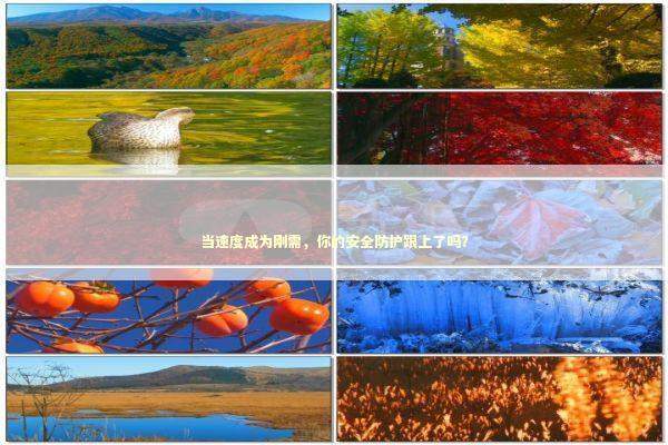 当速度成为刚需，你的安全防护跟上了吗？ IT技术