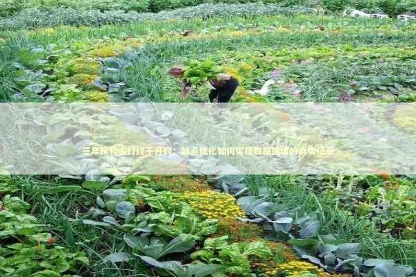 三年摸爬滚打终于开窍：站点优化如何实现数据倍增的真实记录 IT技术