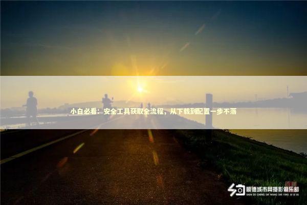 小白必看：安全工具获取全流程，从下载到配置一步不落 IT技术