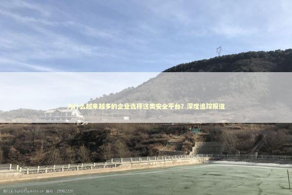 为什么越来越多的企业选择这类安全平台?深度追踪报道 为什么越来越多的企业选择这类安全平台?深度追踪报道 IT技术