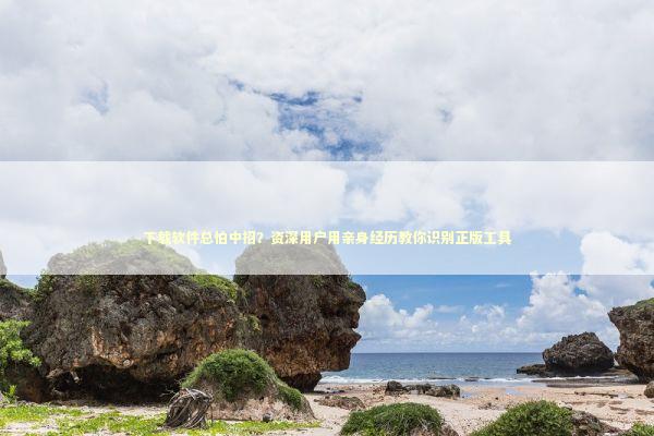 下载软件总怕中招？资深用户用亲身经历教你识别正版工具 IT技术
