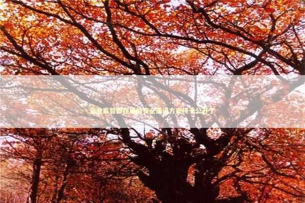 企业高管都在用的安全通讯方案终于公开了 IT技术